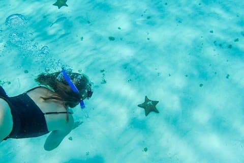 El Cielo Cozumel, une visite paradisiaque. Laissez-vous surprendre par les étoiles près de chez vous.