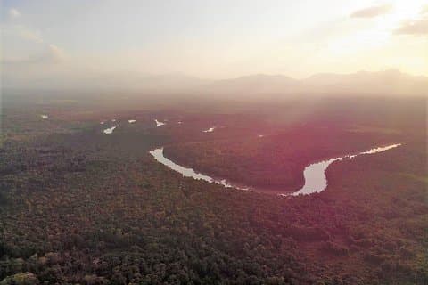 Experiência guiada na selva de Darien - 5 dias / 4 noites