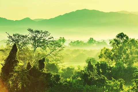 Experiencia guiada de la selva de Darién - 6 días / 5 noches