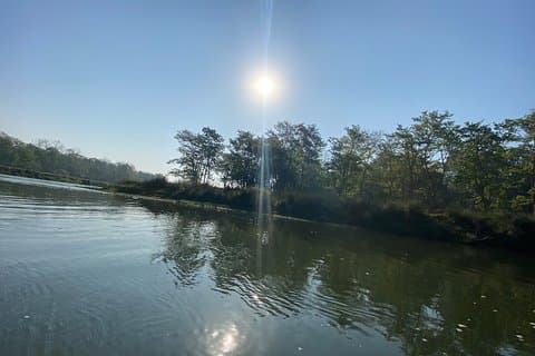 1 natt 2 dagar Chitwan Jungle Safari Tour från Pokhara eller Kathmandu
