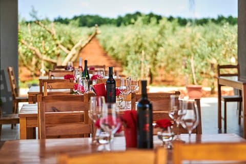 PERVINO - Degustazione di vini