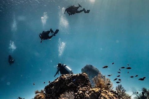 Diving experience in San Andres