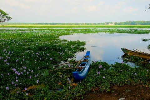 Landlig Sri Lanka (13 N / 14 D)