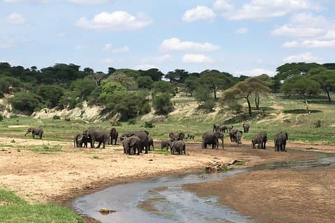 3 Days Lake Manyara, Ngorongoro Crater & Tarangire
