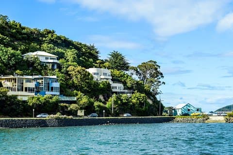 Captivating Side of Dunedin Private Walking Tour for Couples