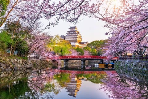 The Best of Himeji Private Walking Tour