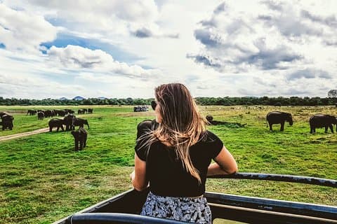 Safari condiviso nel Parco nazionale di Kaudulla
