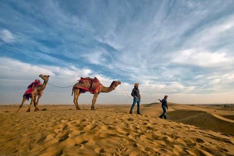 Desert Camel Safari Day Tour In Jodhpur