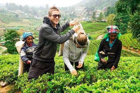 Nuwara Eliya Highlands di Kandy