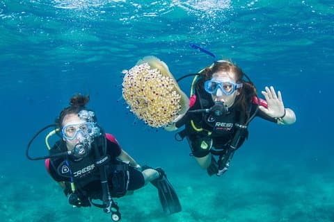 Probeer Scuba op Kreta – Gratis certificering & foto's (beginners)