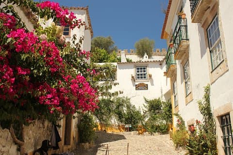 Desde Lisboa: tour privado a Obidos, Nazare y Fátima con regreso a Oporto