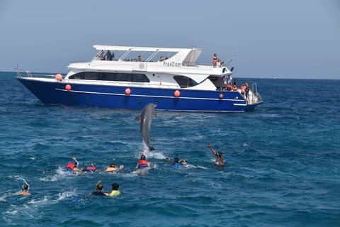 Dolphin House con pranzo in barca da Hurghada
