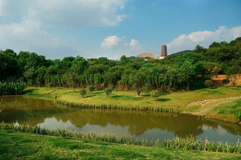 Half Day Private Tour to Niushoushan Cultural Park in Nanjing