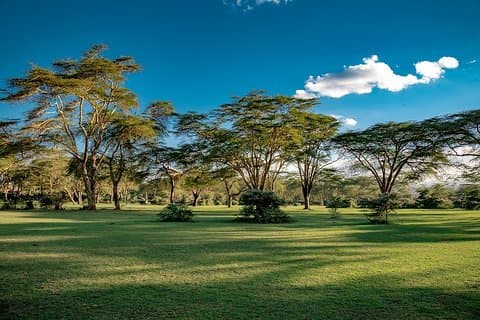 Visite à pied du meilleur de Naivasha