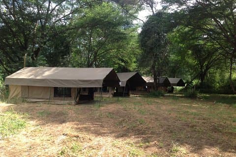 Tanzania 8 dages privat safarioplevelse