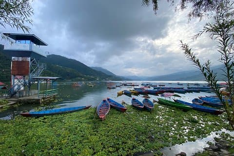 Visit Fewa Lake for an Hour