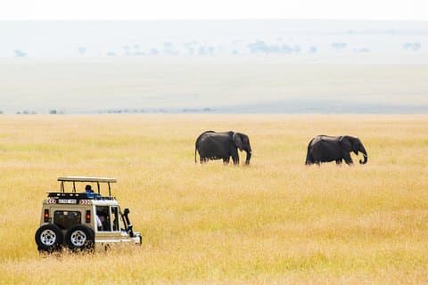 11-dages privat klassisk safari i det sydlige Tanzania