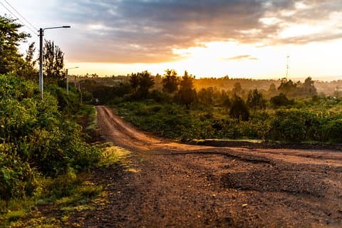 Visite romantique à Naivasha