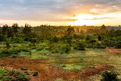 Visite à pied du meilleur de Nanyuki