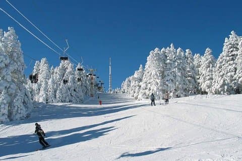 Tbilisi - Bakuriani - Borjomi private transfer