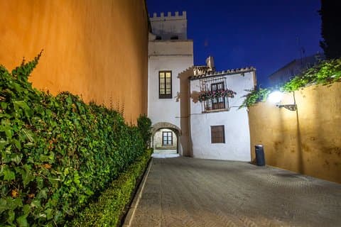 Flamencoshow og nattrute gjennom det jødiske kvarteret i Sevilla.
