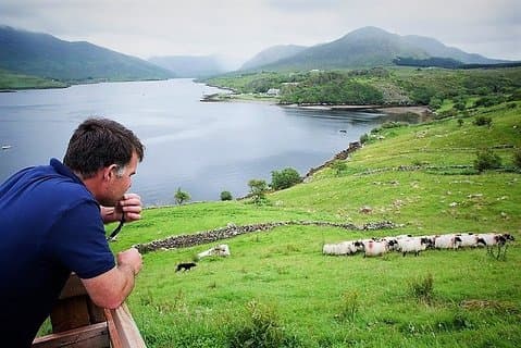 Visit traditional working sheep farm with sheepdog demo. Galway.
