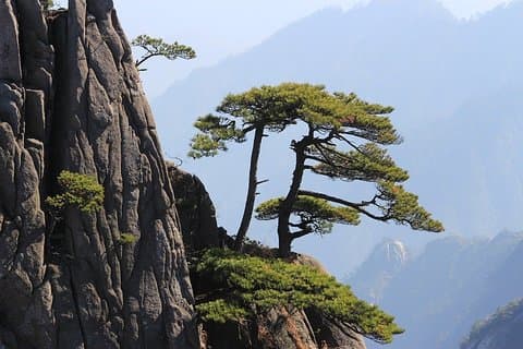 Det bedste ved Huangshan-vandretur