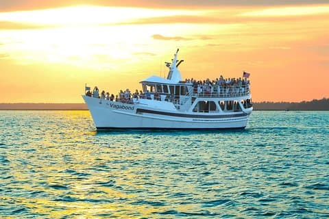 Hilton Head Sunset Dolphin Watching Cruise