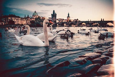 Nürnberg til Prag - Privat overførsel med 2 timers sightseeing