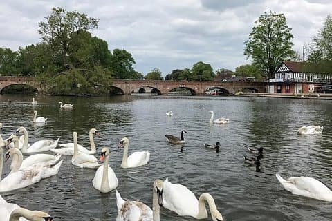 シェイクスピアのストラトフォードアポンエイボンのプライベート終日ツアー