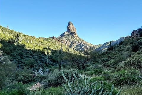 Phoenix Wilderness Wandertouren