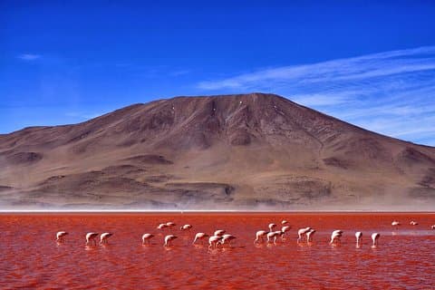 世界最大のソルトフラッツの2つ、アタカマとウユニを発見する6日間
