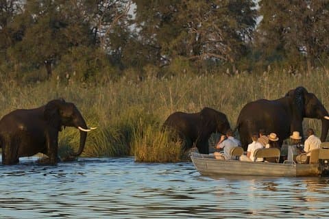 Halve dag Zambezi River kanoën met pick-up