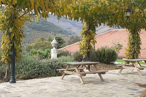 Douro Low COST mit Weinprobe