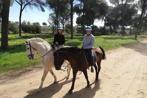 Cabalgatas en el Parque Natural Doñana, Sevilla