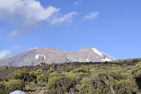 Mt. Kilimanjaro 8 Days Trek - Lemosho Route