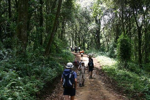 Mt. Kilimanjaro 6 Days Trek - Marangu Route