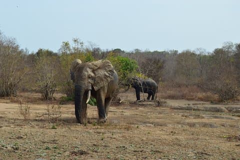The best of Tamale walking tour