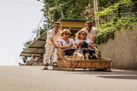 Shore Excursion: Private Madeira Tour & Vinprovning