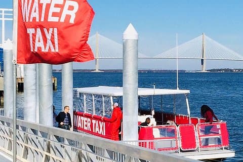 イルカの観察を伴うチャールストン水上タクシー クルーズ