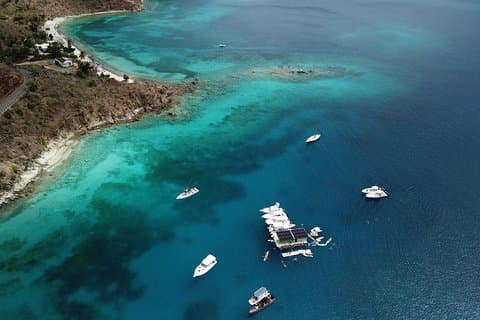 Lime Out Snorkel with Taco Bar Lunch & Swim-Up Bar - Ritz-Carlton