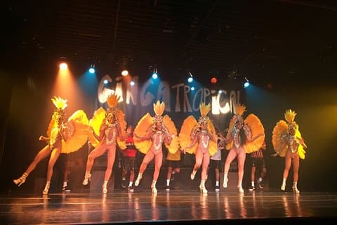 Guidet tur til Ginga Tropical Music Show med middag