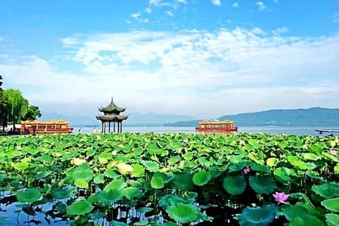 Servizio privato di guida turistica inglese straordinaria di Hangzhou