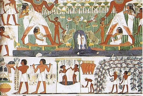 Visita guiada privada ao Templo Habu, Vale das Rainhas e Deir El Madina