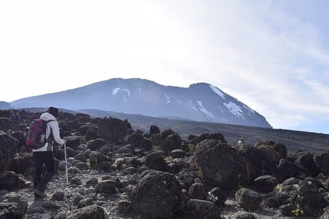 Mt. Kilimanjaro 7 Days Trek - Lemosho Route