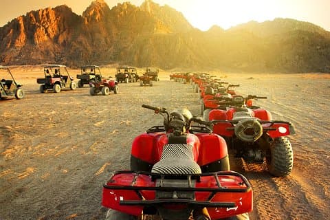 Safari Luxor