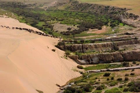 Walk between Argan Forest, Ocean & Waterfalls
