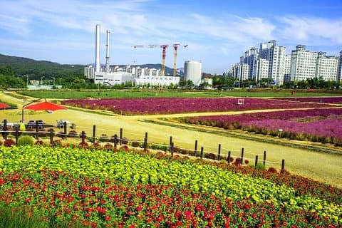 Romantic Tour in Yangzhou