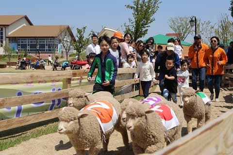 Visite privée d'une journée complète des terres agricoles d'Anseong avec la grotte de Gwangmyeong
