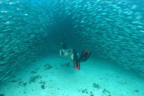 Oplev et Maya-eventyr med cenoter og en lagune. Snorkel & Buffet inkluderet.